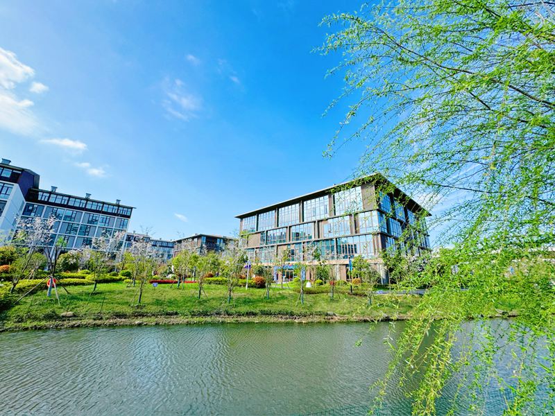学苑湖景