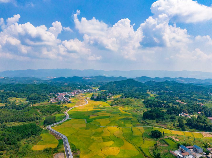 乡村振兴