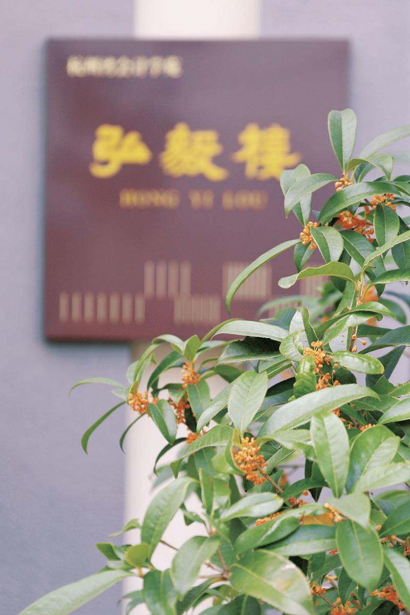 丹桂满苑